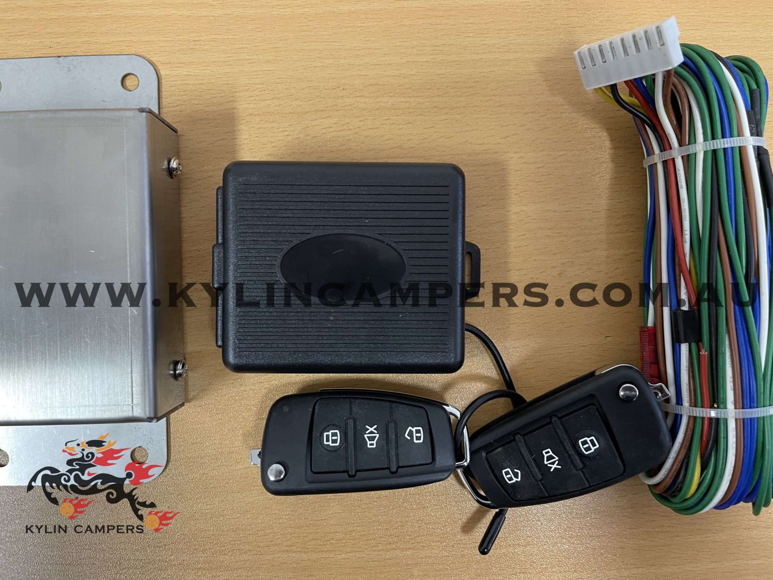 Whale Tail Lock 12V Powered Independent Central Locking Module with